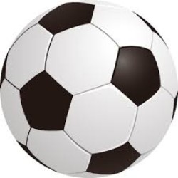 Sfoglia CALCIO - PALLONI IN CUOIO