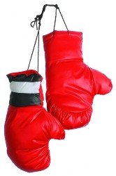 Sfoglia PUGILATO E BOXE