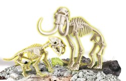 Sfoglia NATURA E ANIMALI