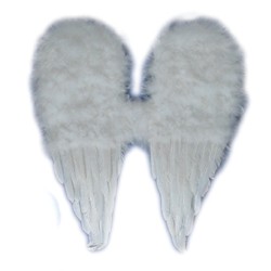 Sfoglia COSTUME CORREDO - ALI E CODE