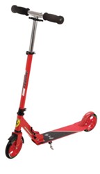 Sfoglia MONOPATTINI - IN METALLO 2 RUOTE