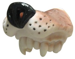 Sfoglia COSTUME CORREDO - NASI, ORECCHIE E CORNA ANIMALI