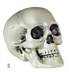 Sfoglia PARTY - ARREDO - SCHELETRI E TESCHI