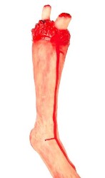 Sfoglia PARTY - ARREDO - PEZZI DI CORPO MOZZATI